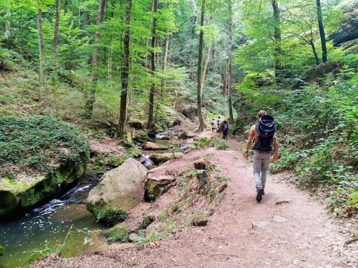 Nice Tent Lodge On A Campsite, Adjacent To The Forest, 27 Km From Luxembourg Medernach Esterno foto